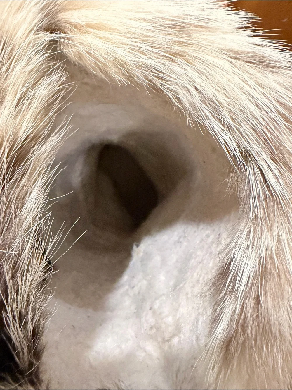 Vintage Tecnica Fur Après-Ski Boots